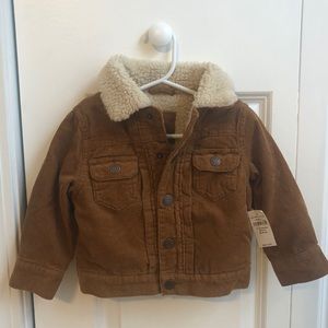 NWT brwn corduroy jacket Sherpa lined sz 12-18 mnt